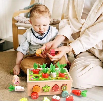 Montessori Karottenräder