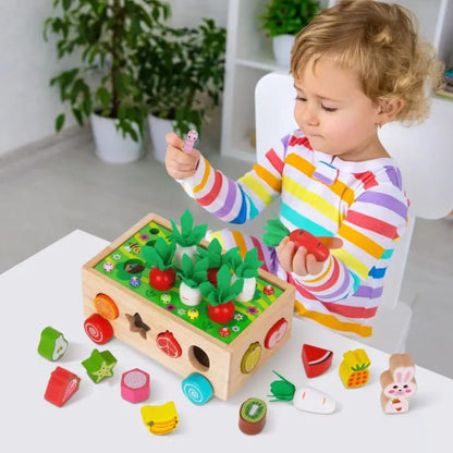 Montessori Karottenräder
