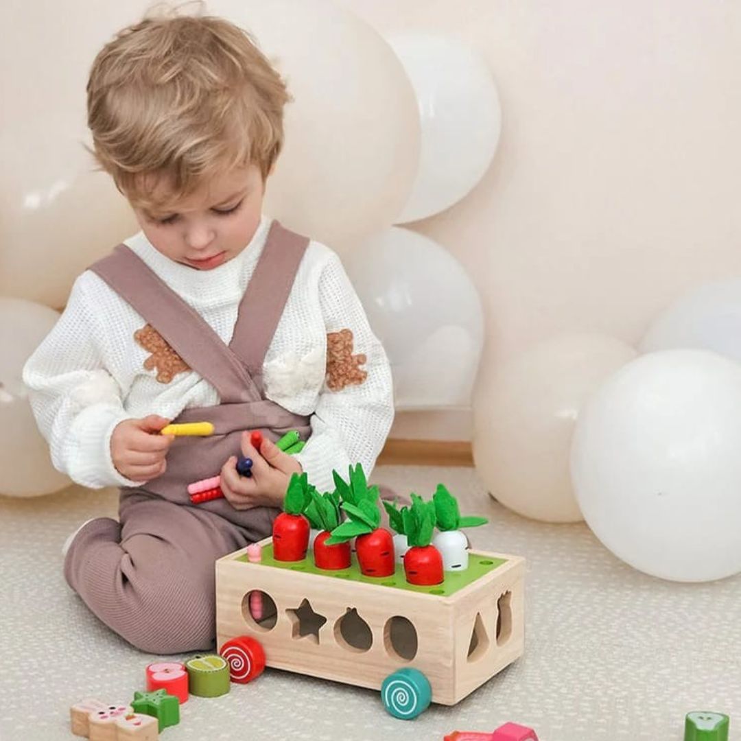 Montessori Karottenräder
