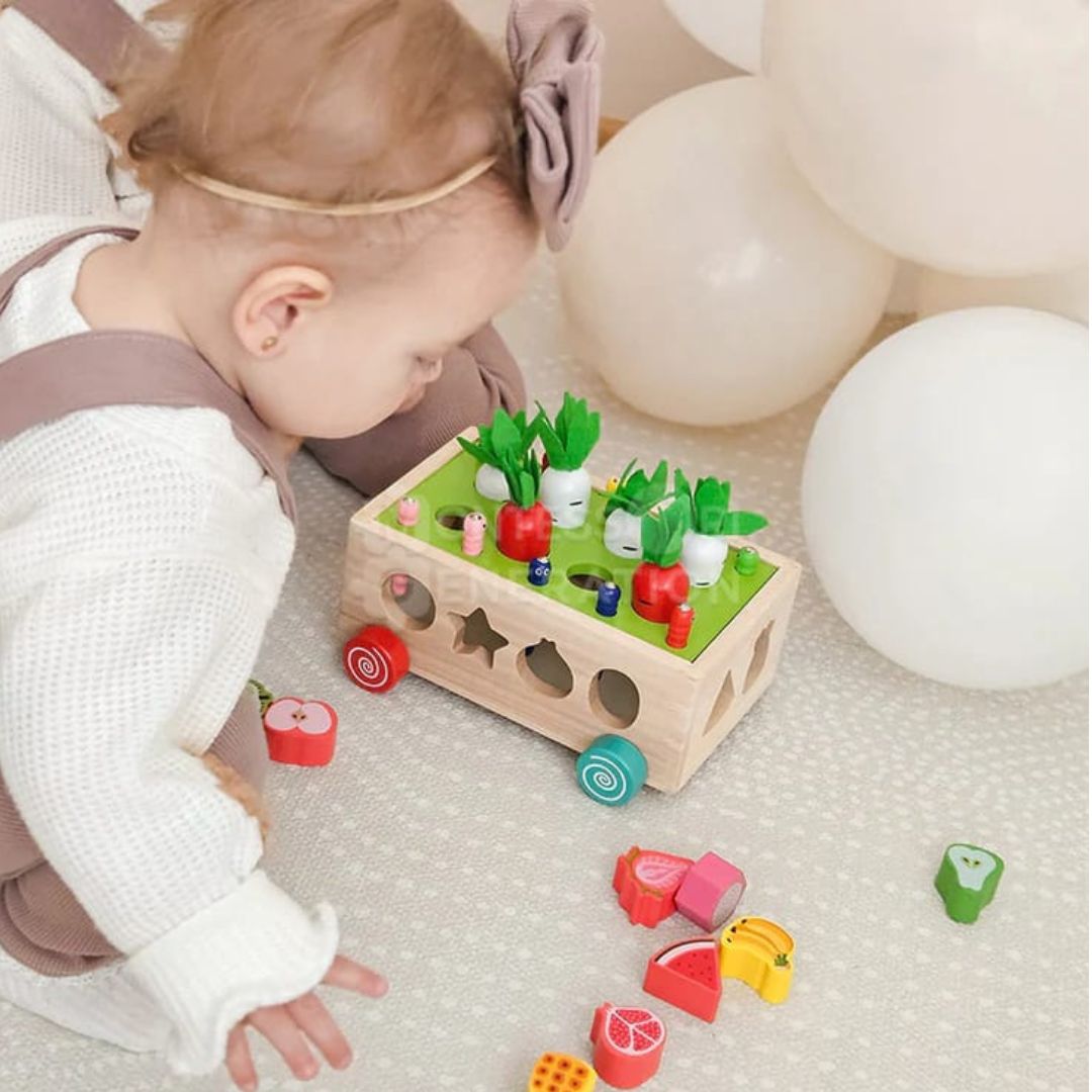 Montessori Karottenräder