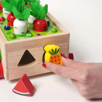 Montessori Karottenräder