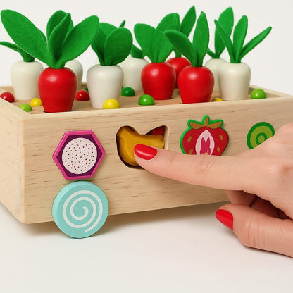 Montessori Karottenräder