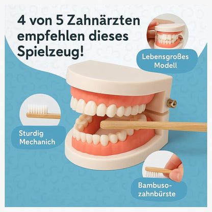 Montessori Zähneputzen